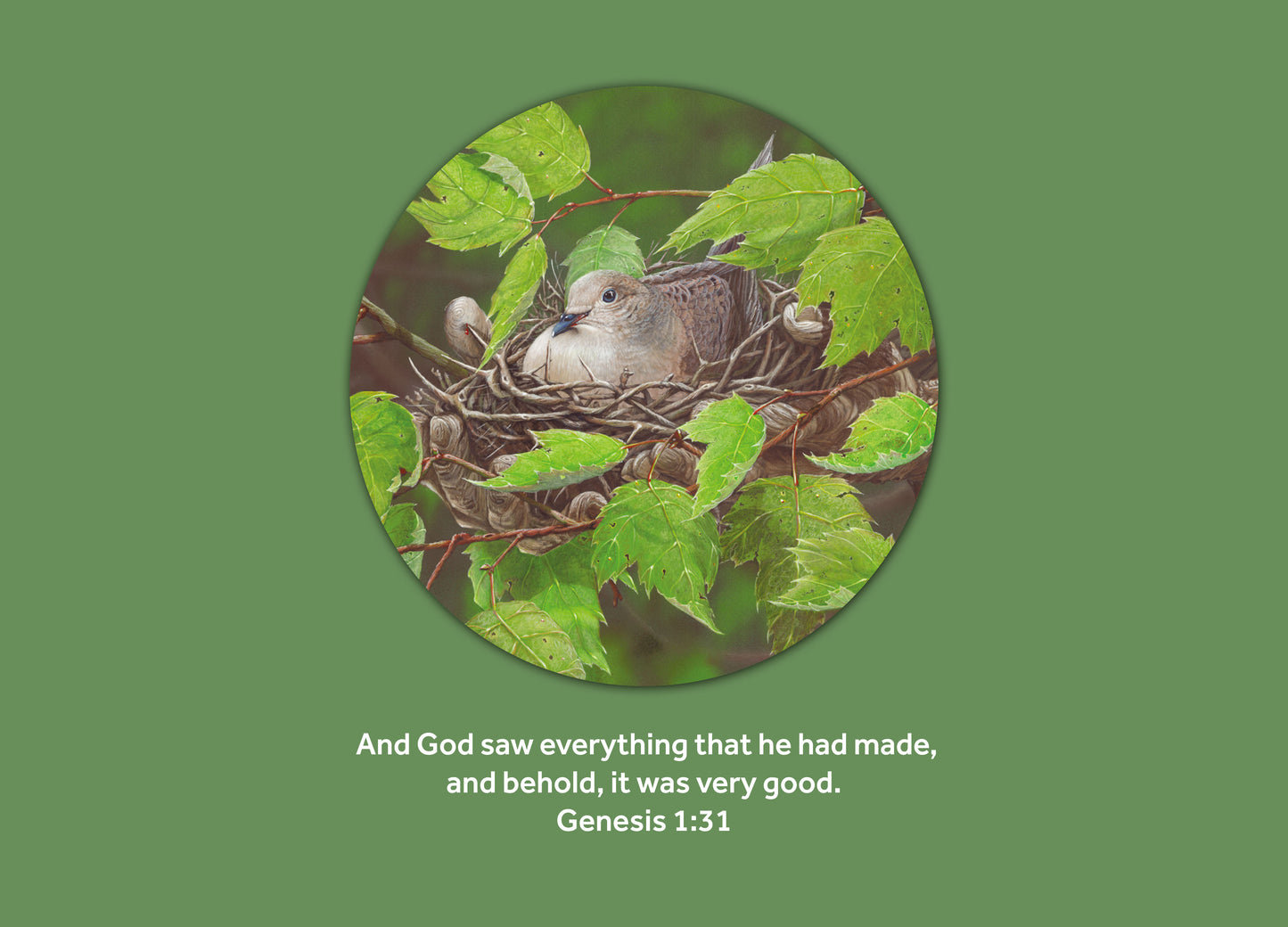 Birthday- The Creator's Hand #293 (The Passion Translation)