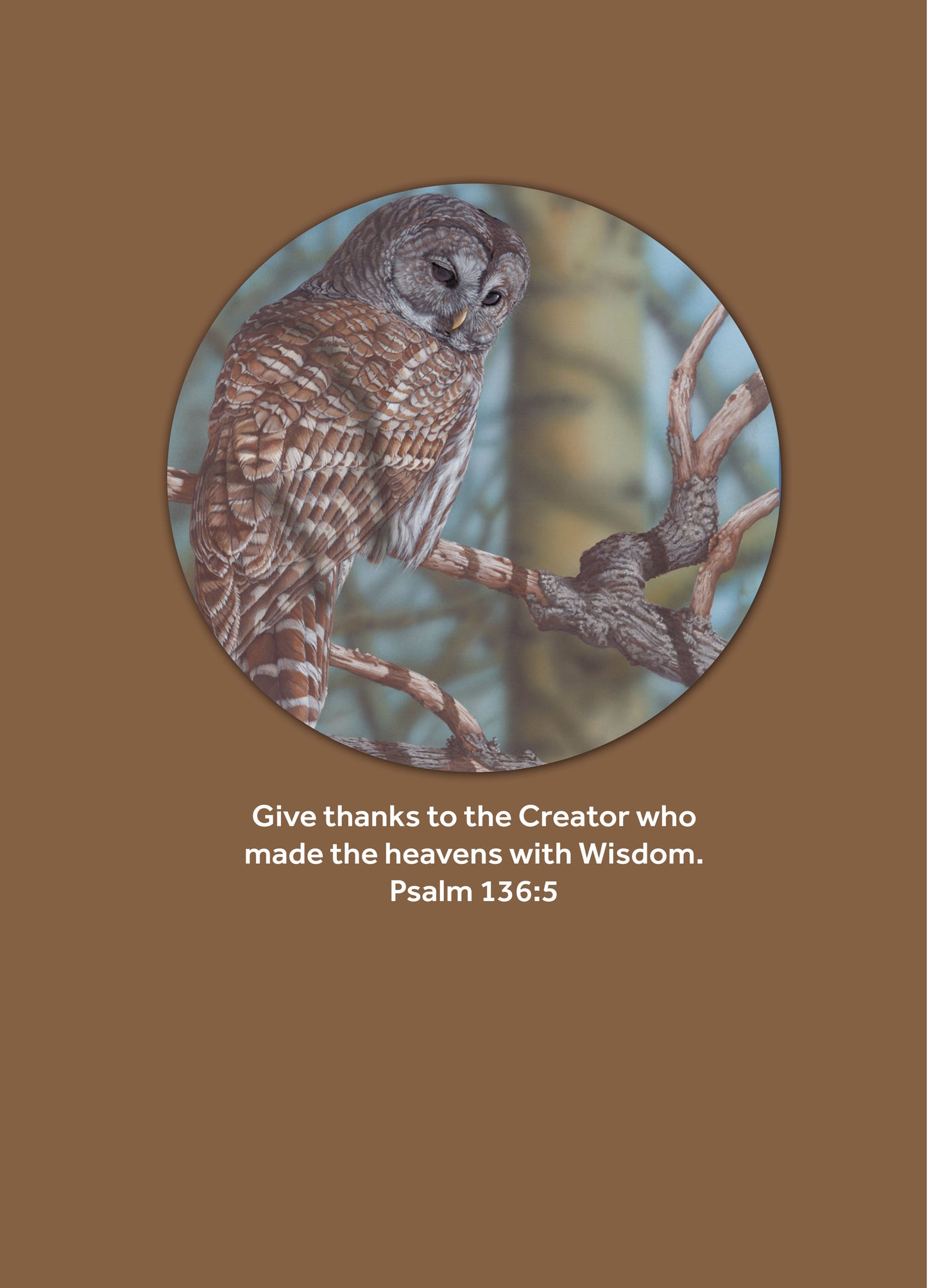 Birthday- The Creator's Hand  #293 (The Passion Translation)