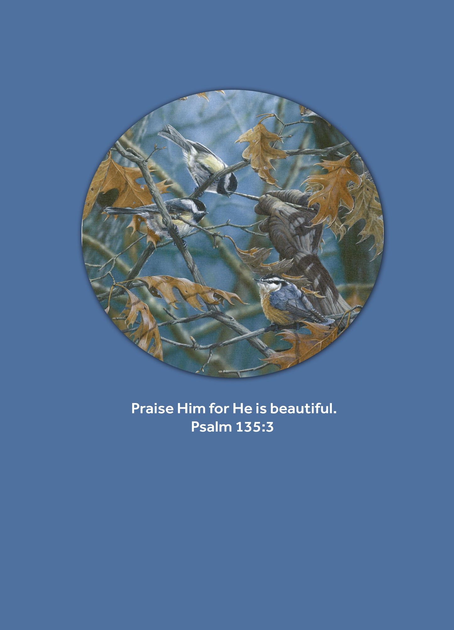 Birthday- The Creator's Hand #293 (The Passion Translation)