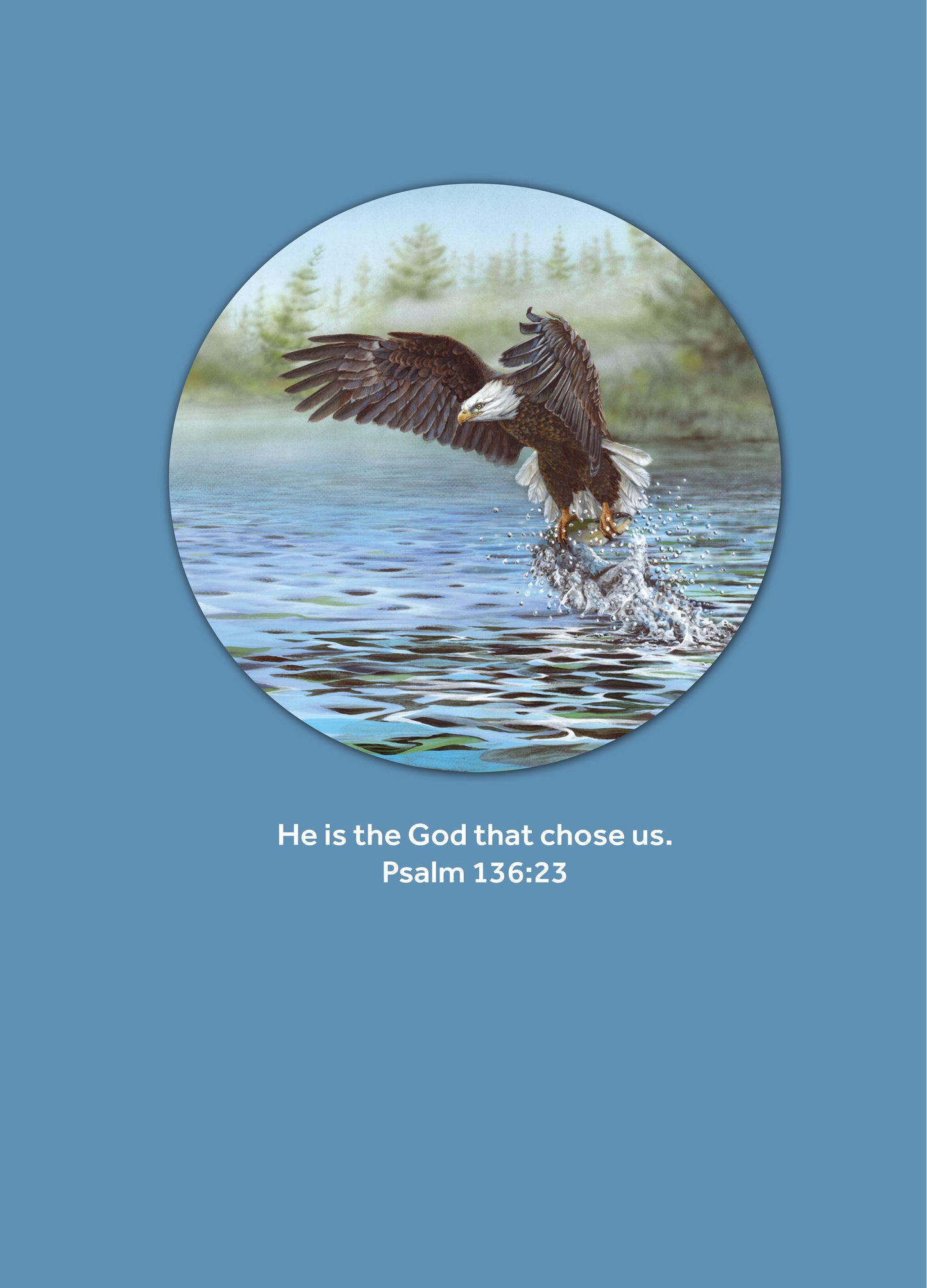 Birthday- The Creator's Hand #293 (The Passion Translation)