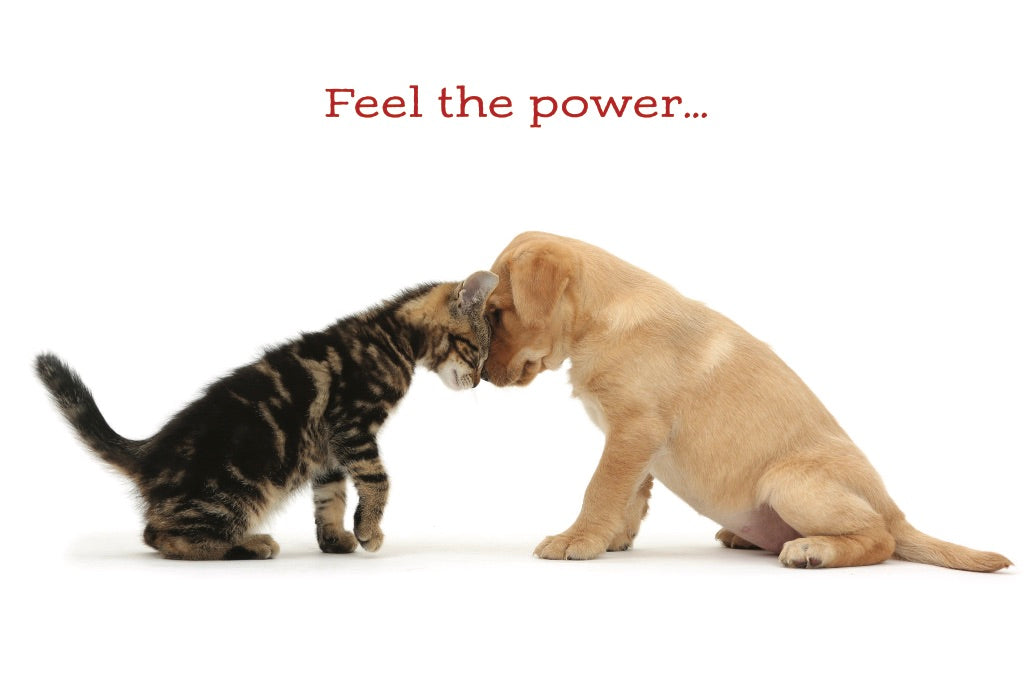 Anniversary Better Together #190