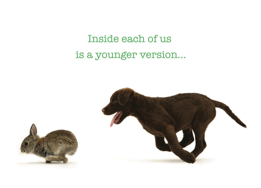 Birthday Happy Critters #186 from the world's top baby animal photographer