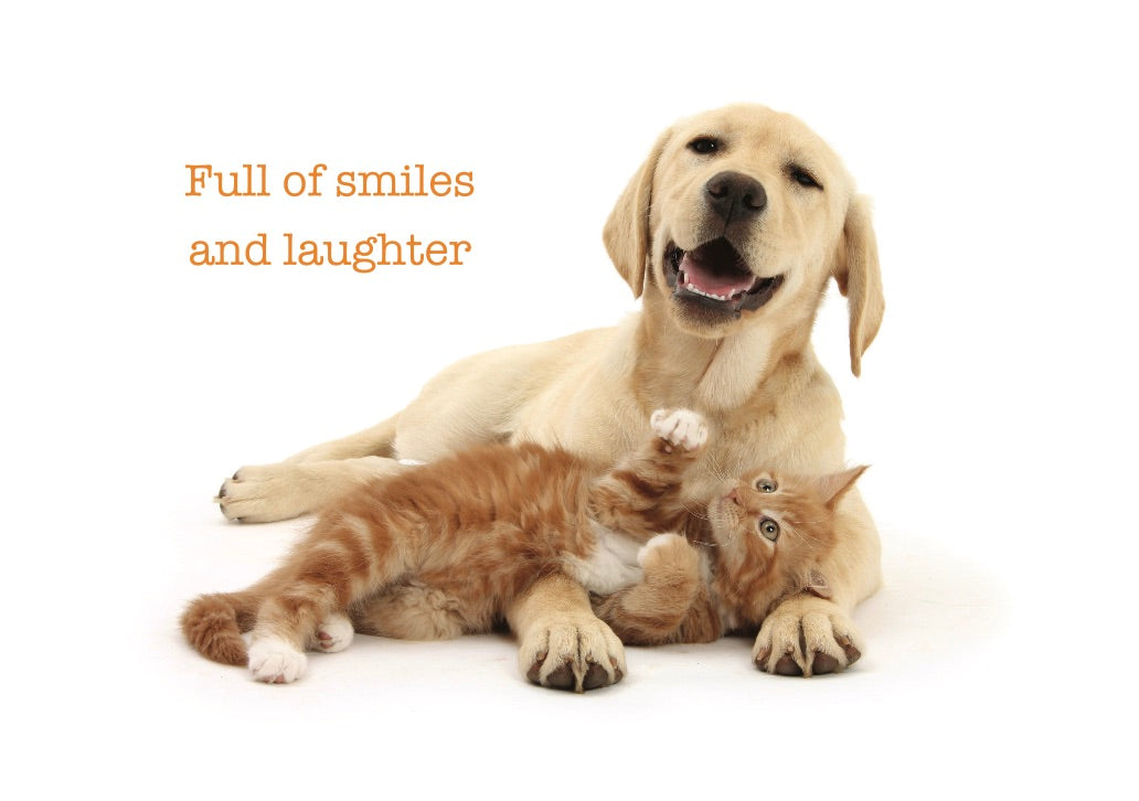 Birthday Happy Critters #186 from the world's top baby animal photographer