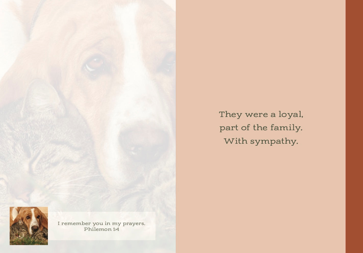 Sympathy for Loss of Pets  #176 (The Passion Translation)