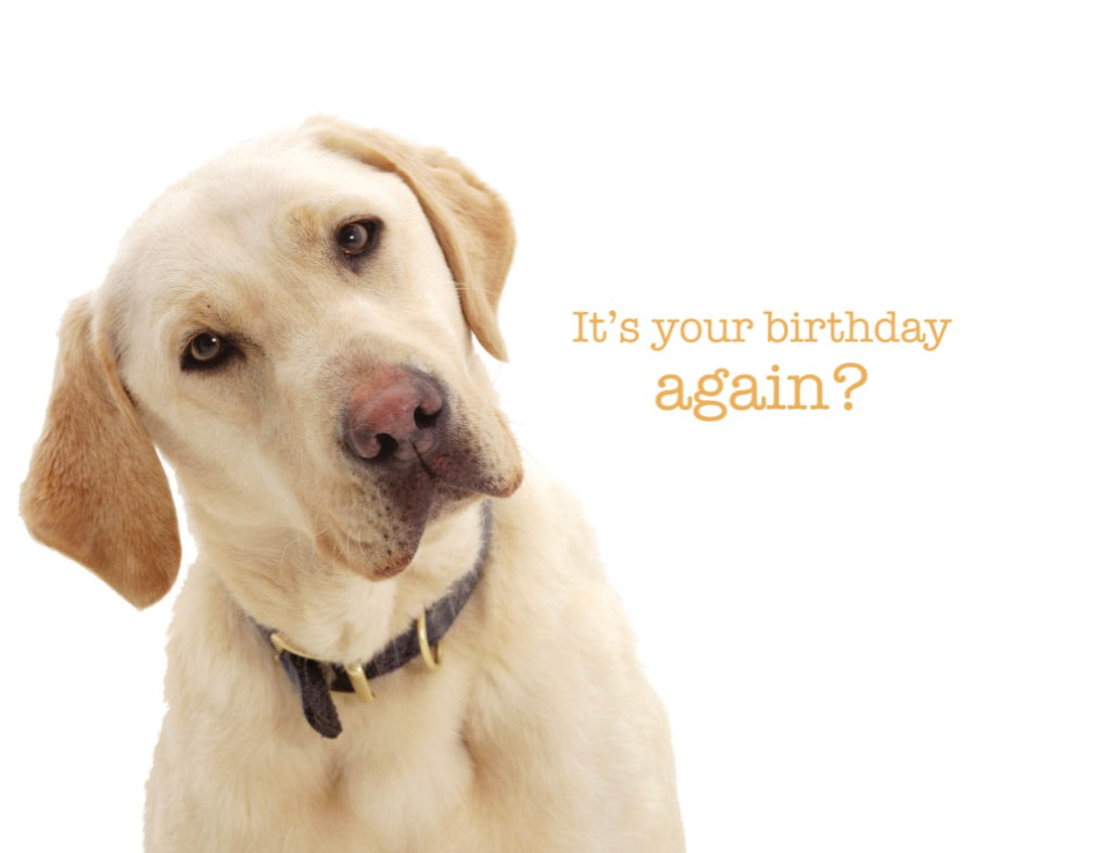 Birthday "Happy Critters" #186- featuring Europe's top pet photography